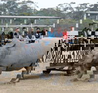 Off-Road Safari at Werribee Open Range Zoo - Local Tourism