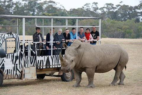 Off-Road Safari At Werribee Open Range Zoo - Local Tourism 0
