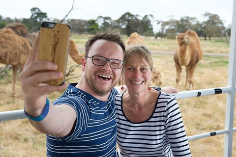 Off-Road Safari At Werribee Open Range Zoo - Local Tourism 1