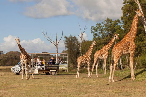 Off-Road Safari At Werribee Open Range Zoo - Local Tourism 3