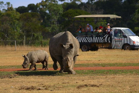 Off-Road Safari At Werribee Open Range Zoo - Local Tourism 5