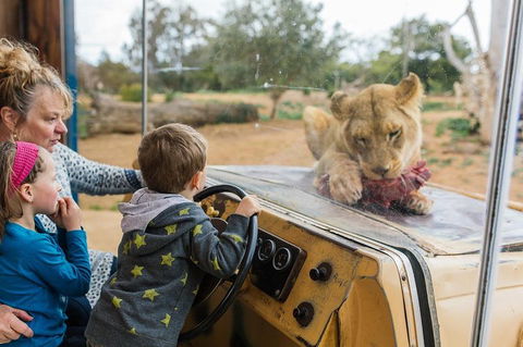 Werribee Open Range Zoo General Admission Ticket - Accommodation Australia 4