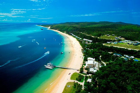 Tangalooma Island Resort Whale Watching Day Cruise - Local Tourism 2