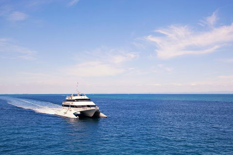 Tangalooma Island Resort Whale Watching Day Cruise - Local Tourism 5