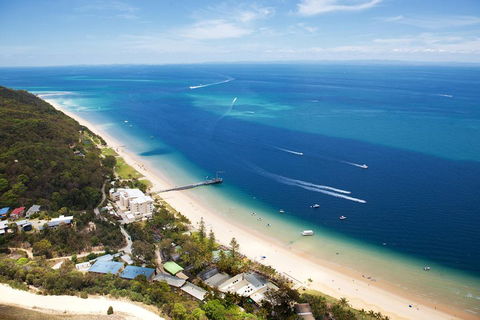 Tangalooma Island Resort Whale Watching Day Cruise With Dolphin Feeding - Accommodation Australia 2