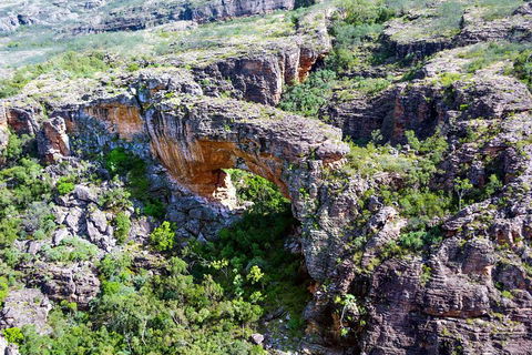 Darwin To Kakadu Day Trip By Air Including Yellow Water Cruise - Accommodation Australia 4