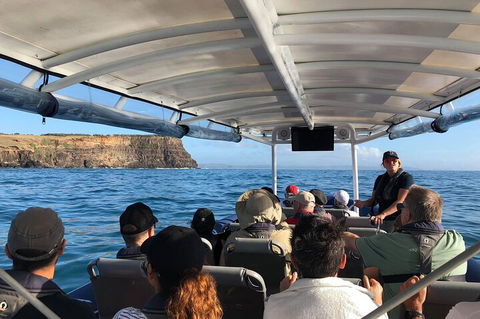 Julian Rocks Byron Bay Cruise - Local Tourism 4