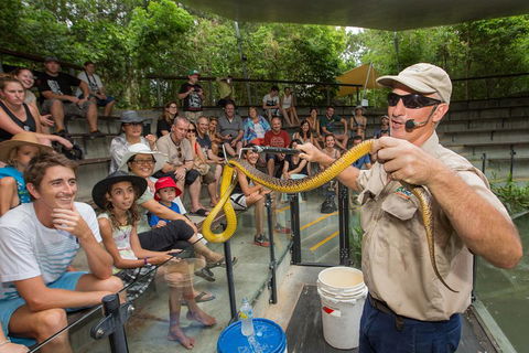 Hartley's Crocodile Adventures Breakfast With The Koalas - Local Tourism 3