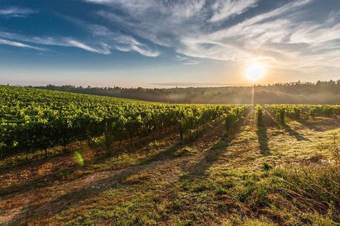 Perth To Margaret River Wine Tour - 2 Day Premium Boutique Wine Tour Experience - Local Tourism 0