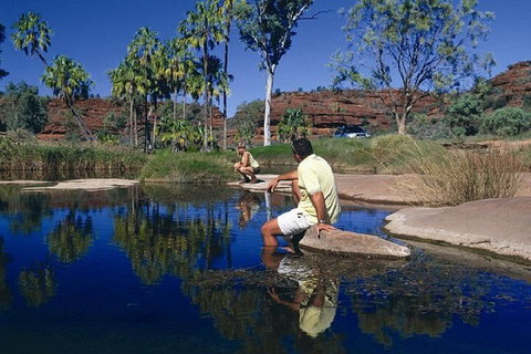 Palm Valley 4WD Day Tour - Accommodation Australia 1