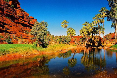 Palm Valley 4WD Day Tour - Accommodation Australia 2