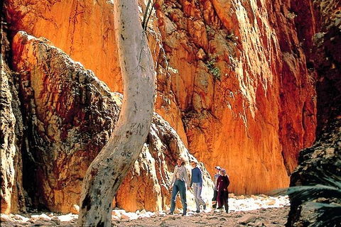 West MacDonnell Ranges Day Trip From Alice Springs - Accommodation Australia 3