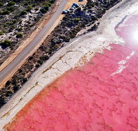 7-Day Exmouth Explorer via Pinnacles Monkey Mia Ningaloo Reef returning to Perth - Local Tourism
