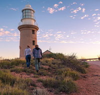 6-Day Coral Coaster from Perth to Exmouth One-Way via Monkey Mia Ningaloo Reef - Local Tourism