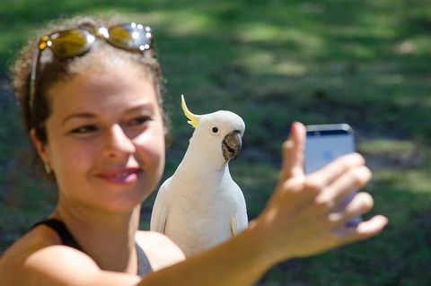 Melbourne To Adelaide South East Coast 3 Day Overland Tour - Accommodation Australia 3