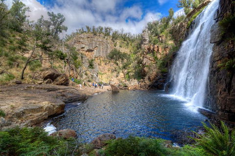 Melbourne To Adelaide South East Coast 3 Day Overland Tour - Accommodation Australia 4