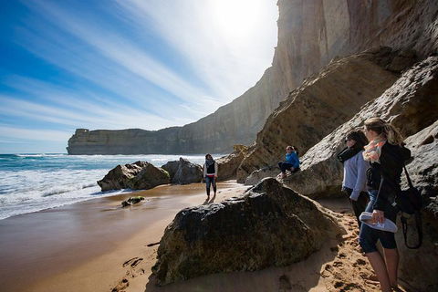 Small-Group Great Ocean Road And 12 Apostles Full-Day Tour From Melbourne - Accommodation Australia 1