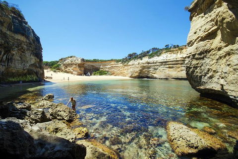 Small-Group Great Ocean Road And 12 Apostles Full-Day Tour From Melbourne - Accommodation Australia 5
