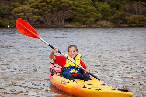 Kangaroo Island Self-Guided Kayaking On The Harriet River - Accommodation Australia 1