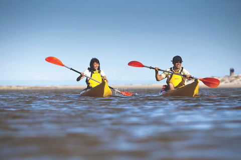 Kangaroo Island Self-Guided Kayaking On The Harriet River - Accommodation Australia 2