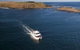 Phillip Island Seal-Watching Cruise - thumb 1
