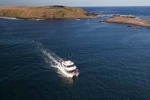 Phillip Island Seal-Watching Cruise - Accommodation Australia 1