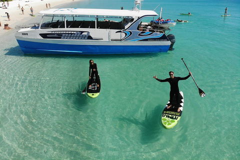 Whitsunday Bullet Day Trip - Whitehaven Beach And Snorkelling - Accommodation Australia 4