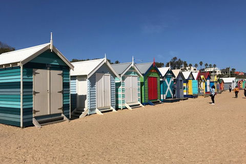 Phillip Island Penguin Parade, Brighton Bathing Boxes And Wildlife Park Tour - Local Tourism 3