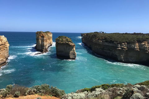 Great Ocean Road Reverse Itinerary PREMIUM Tour - Local Tourism 0