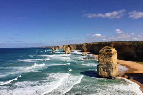 Great Ocean Road Reverse Itinerary PREMIUM Tour - Local Tourism 2