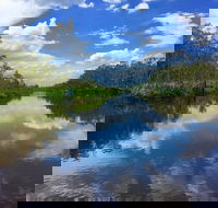 Noosa Everglades Serenity Cruise  Highlights Tour Inc. Lunch  Cruise - Local Tourism