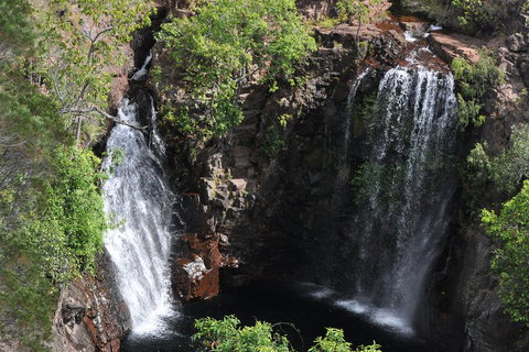Litchfield And Jumping Crocodiles Full Day Trip From Darwin - Bed n Breakfasts 2