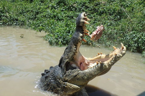 Litchfield And Jumping Crocodiles Full Day Trip From Darwin - Bed n Breakfasts 3