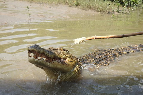 Litchfield And Jumping Crocodiles Full Day Trip From Darwin - Bed n Breakfasts 4