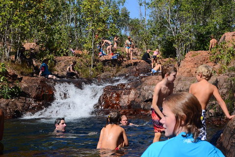 Litchfield And Jumping Crocodiles Full Day Trip From Darwin - Bed n Breakfasts 5