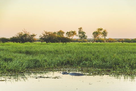 Yellow Water Cruise - Kakadu - Local Tourism 3