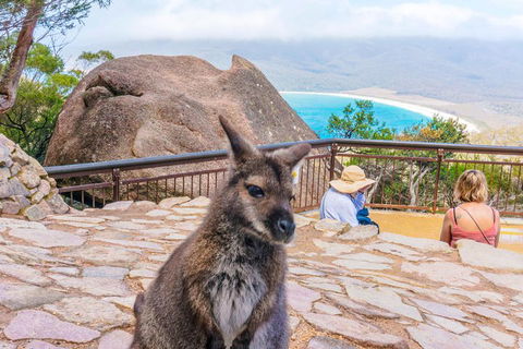 Wineglass Bay & Freycinet NP Full Day Tour From Hobart Via Richmond Village - Local Tourism 0