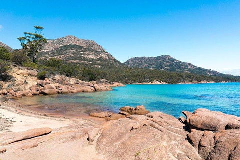 Wineglass Bay & Freycinet NP Full Day Tour From Hobart Via Richmond Village - Local Tourism 5