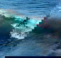 Great Ocean Road Highlights Tour - 2 Days 1 Night - Local Tourism