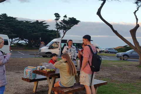 Surf Tour And Lesson - Accommodation Australia 2