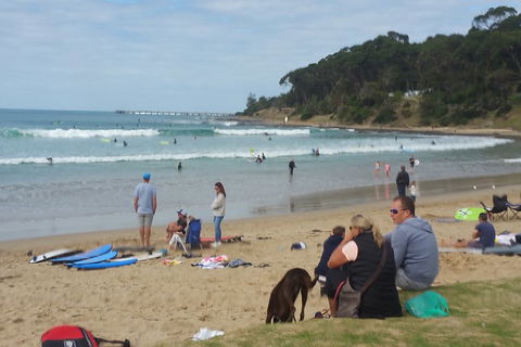 Surf Tour And Lesson - Accommodation Australia 5