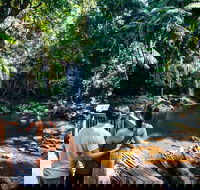 Aquaduck  Your choice of Gold Coast Rainforest Tour - Local Tourism