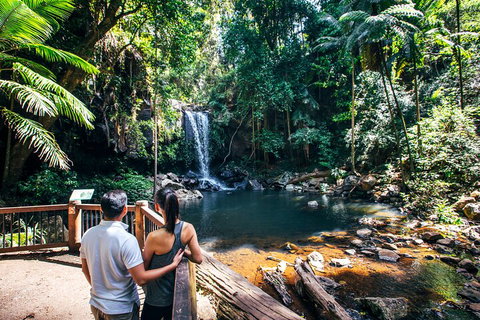 Aquaduck & Your Choice Of Gold Coast Rainforest Tour - Local Tourism 0
