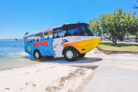 Aquaduck & Your Choice Of Gold Coast Rainforest Tour - Local Tourism 1