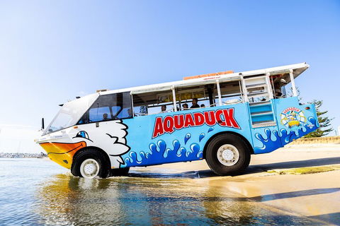Aquaduck & Your Choice Of Gold Coast Rainforest Tour - Local Tourism 3