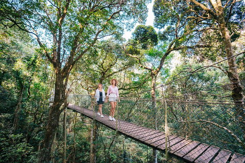 Aquaduck & Your Choice Of Gold Coast Rainforest Tour - Local Tourism 4