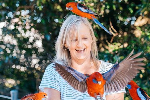 Aquaduck & Your Choice Of Gold Coast Rainforest Tour - Local Tourism 5