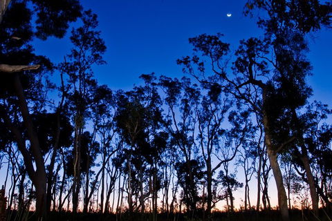 Small-Group Kangaroo Island 4WD Night Tour - Local Tourism 2