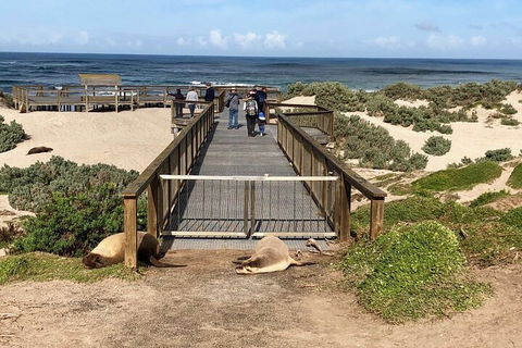 Kangaroo Island 4WD Tour - Best Of KI - Accommodation Australia 2