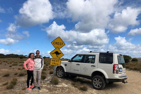 Kangaroo Island 4WD Tour - Best Of KI - Accommodation Australia 5